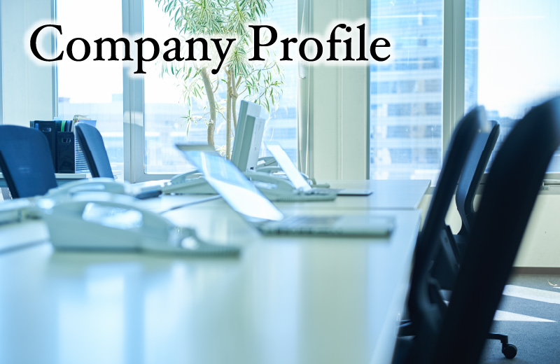 Company Profile