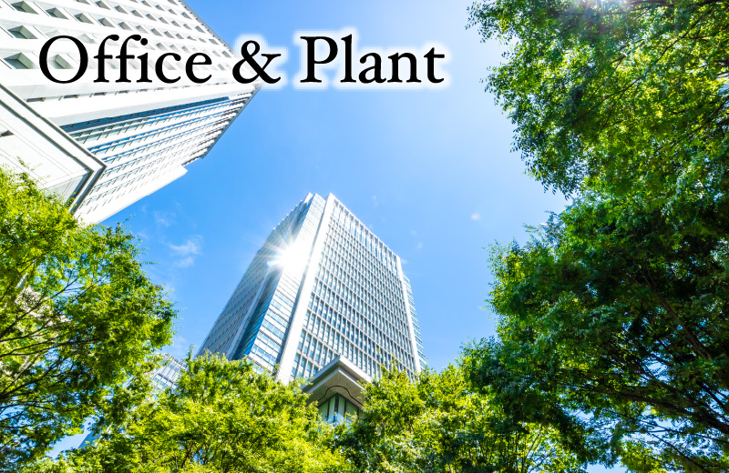 Office & Plant
